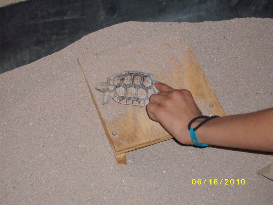 SANYO DIGITAL CAMERA